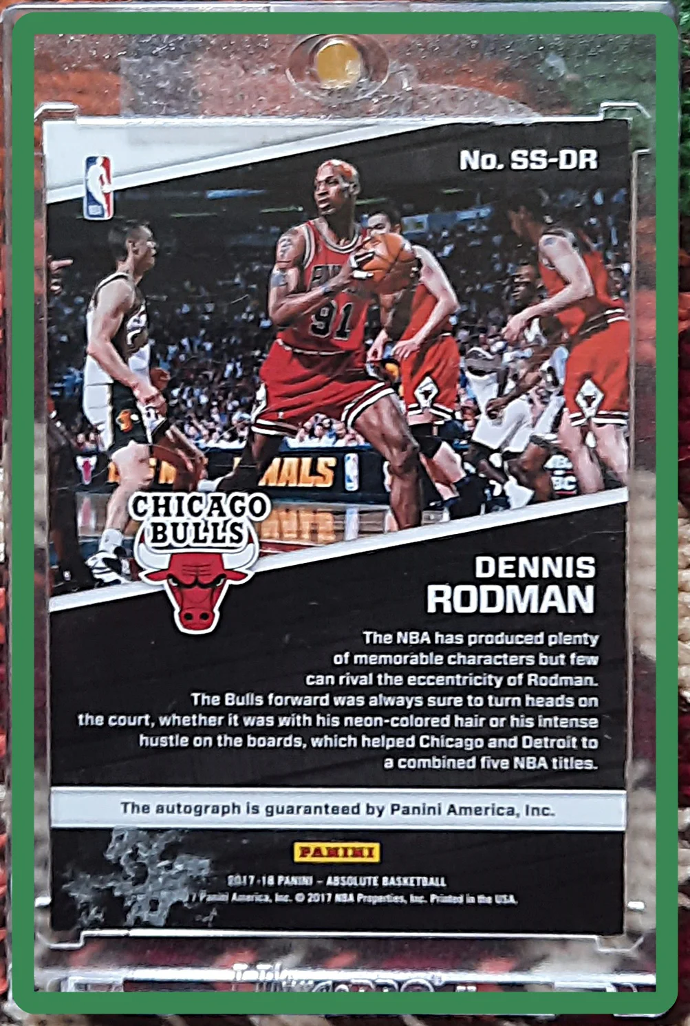 Dennis Rodman hátlap
