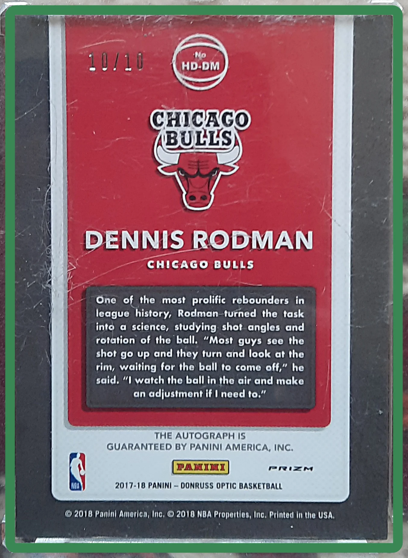 Dennis Rodman hátlap