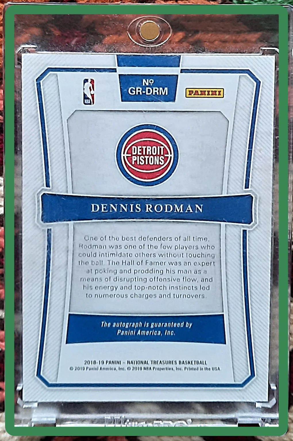 Dennis Rodman hátlap
