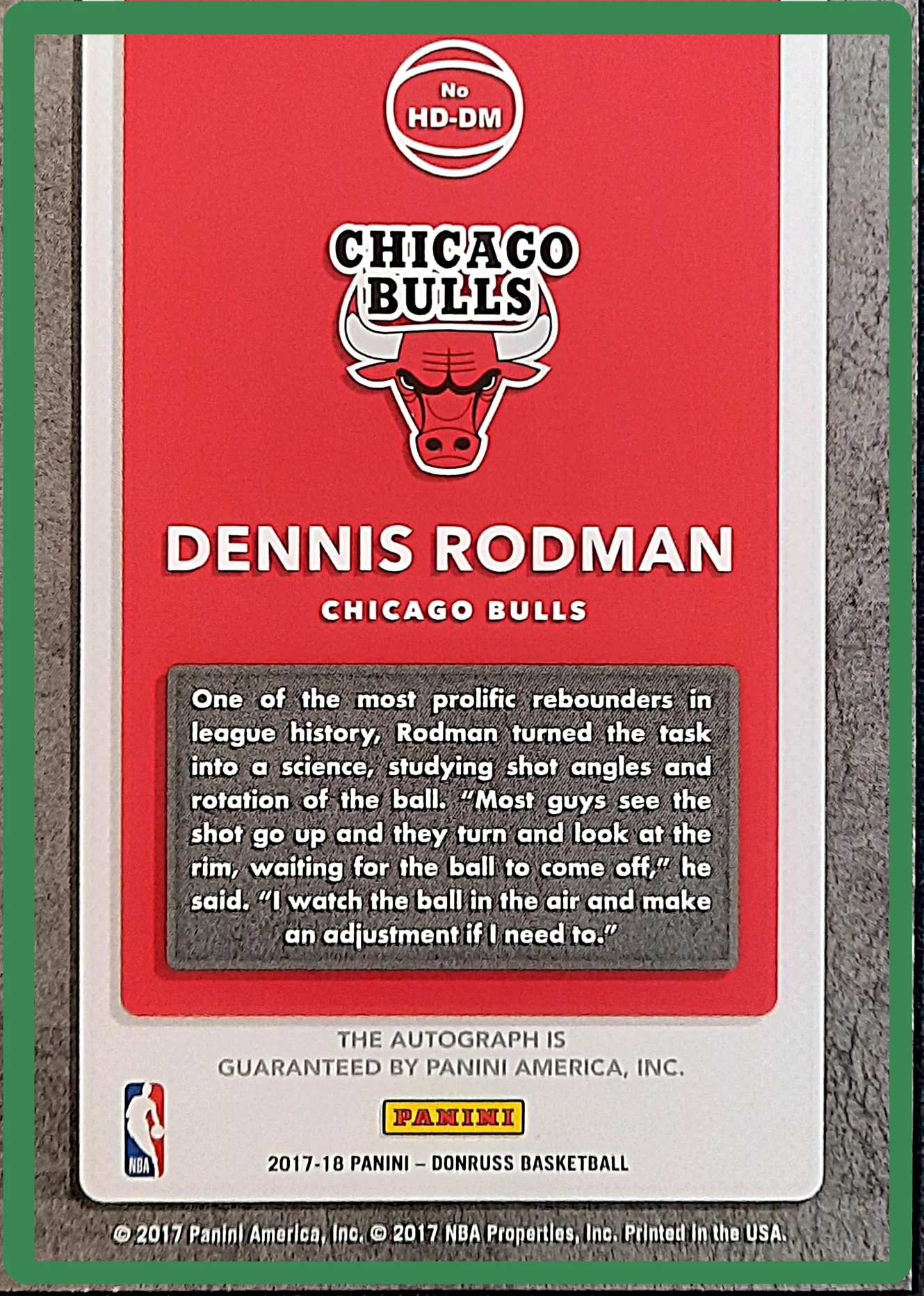 Dennis Rodman hátlap